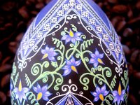 Nightshade - Solanum dulcamara Ukrainian Easter Egg Pysanky By So Jeo : pysanky pysanka ukrainian easter egg batik art sojeo florals flowers birds stars trees vines blooms buds bluebird owl art sojeo so jeo eggshell egg shell blown decoration ivy garden rainbow rosie posy nightshad victorian trees etched brown chicken eggs turkey